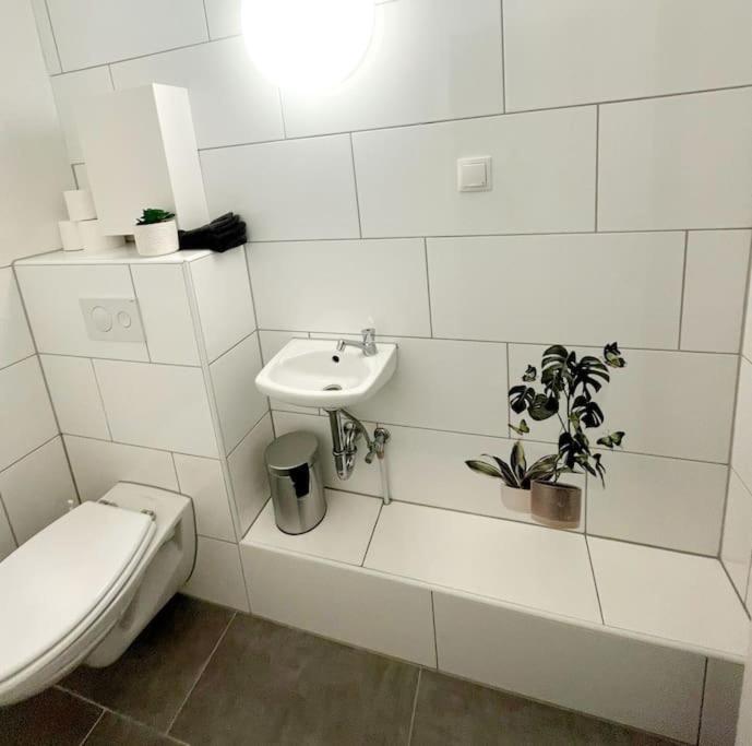 Grosse 3-Zimmer Wohnung, Zentrale Lage. Mülheim an der Ruhr Exterior photo